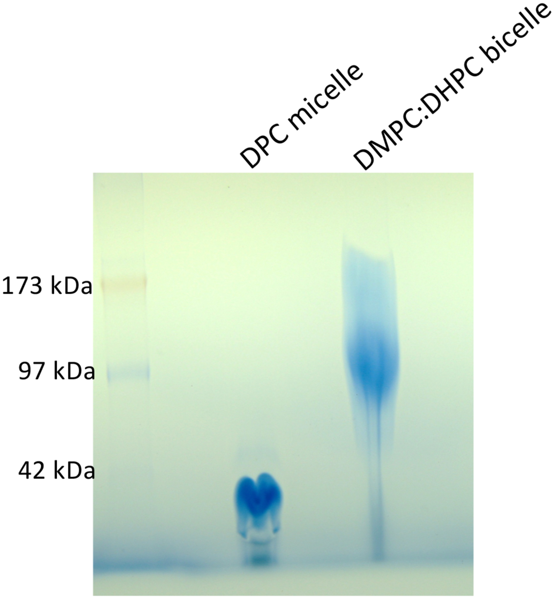 Extended Data Figure 1