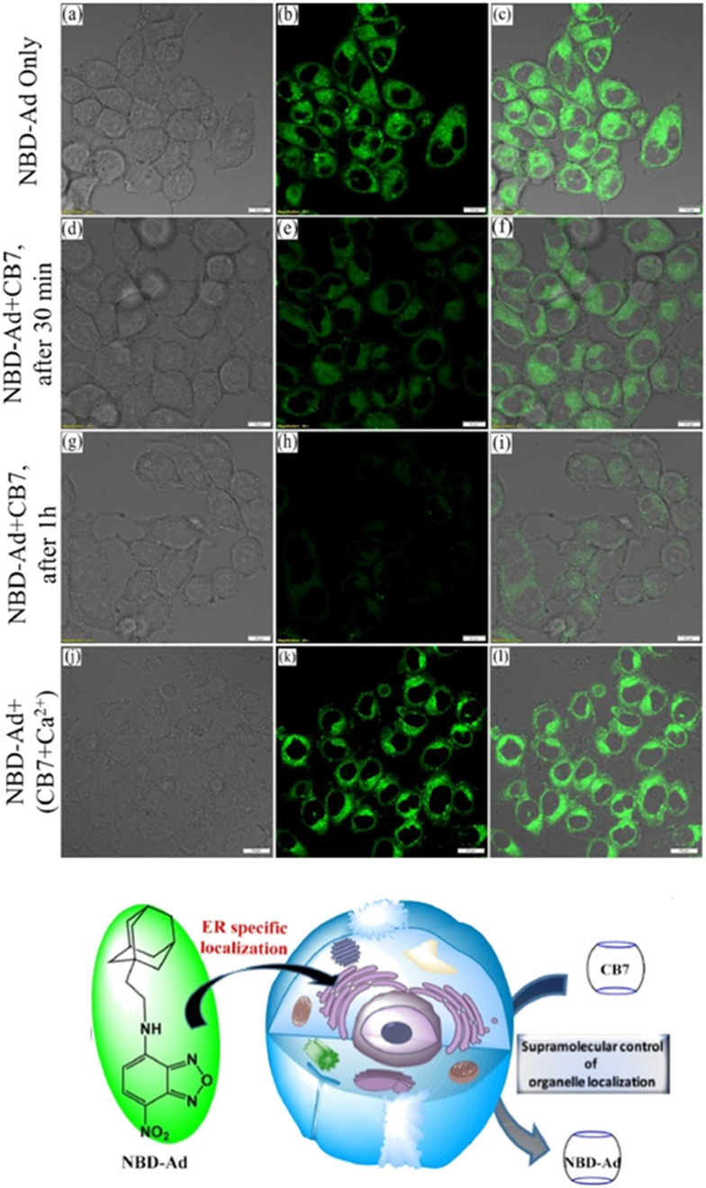 Fig. 11