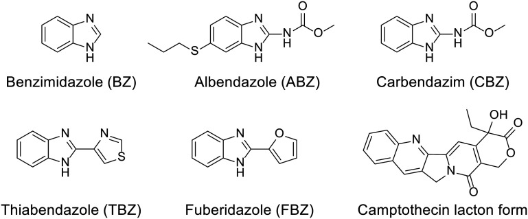 Fig. 12