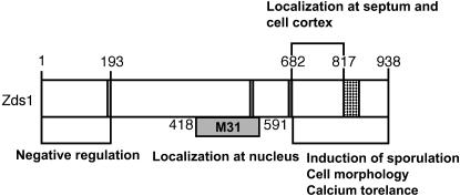 Figure 10.