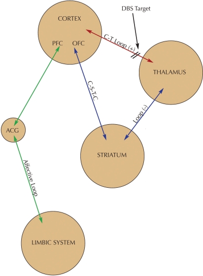 FIGURE 1.