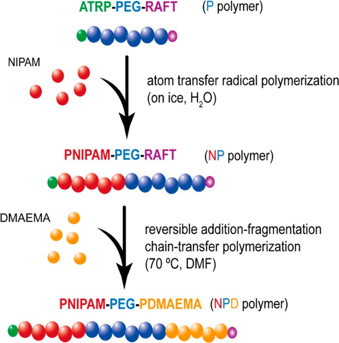 Scheme 2