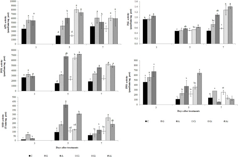 FIGURE 11