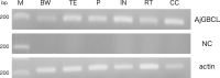 Figure 10