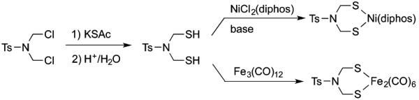 Scheme 2