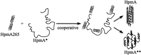 FIGURE 10.