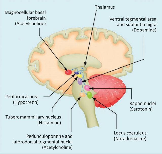 Fig 1.