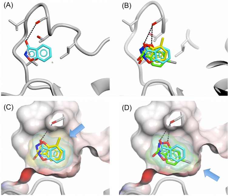 Figure 7