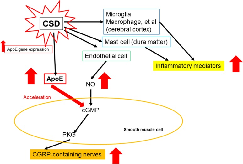 Fig 4