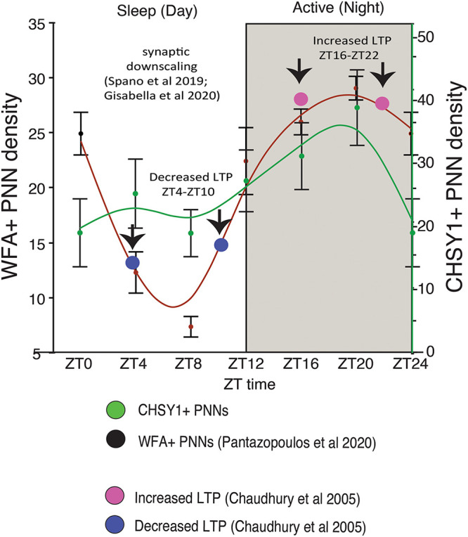 FIGURE 3