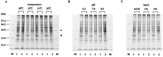 FIG. 6