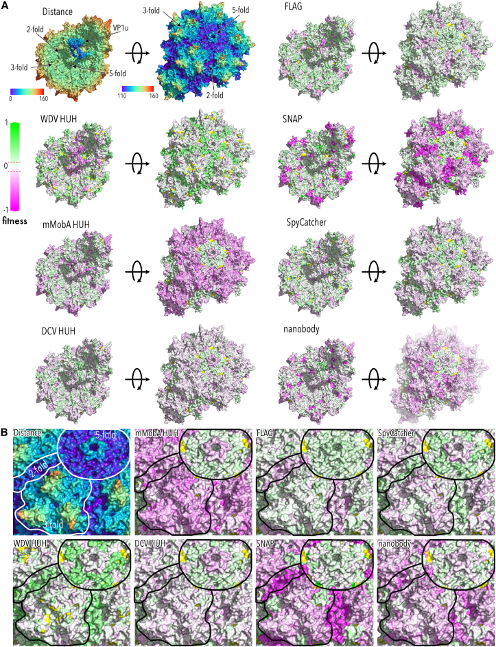 Figure 3