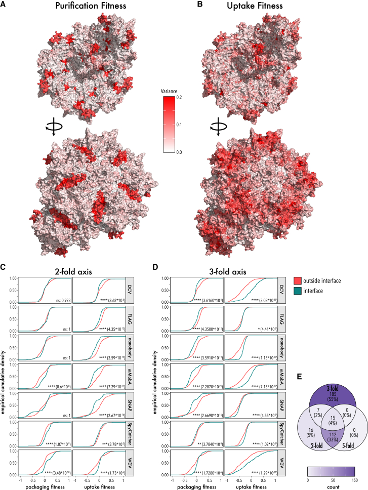 Figure 5