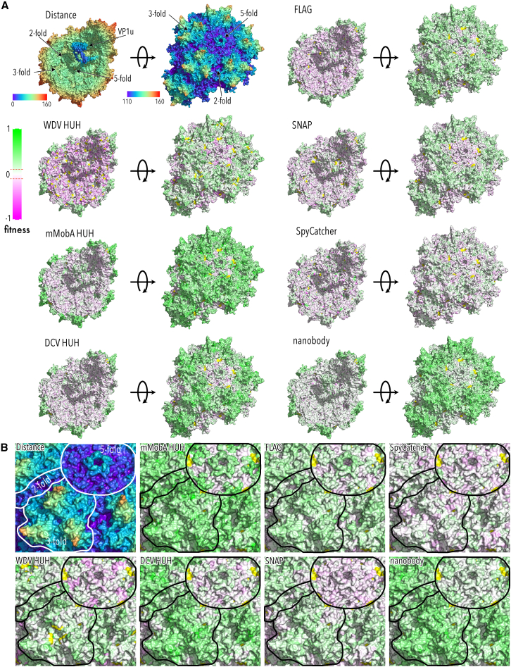 Figure 4