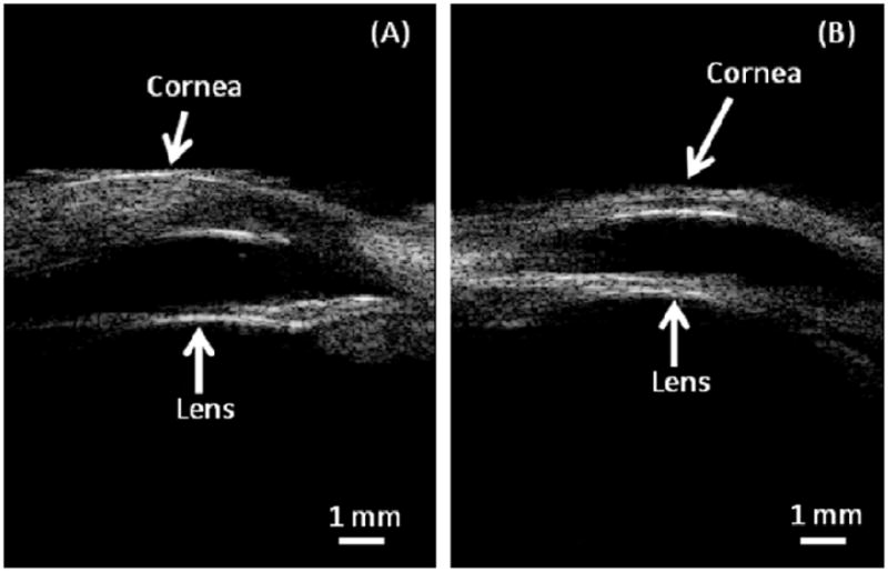 Fig.8