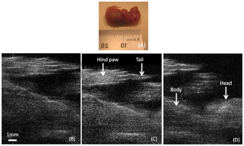 Fig. 9