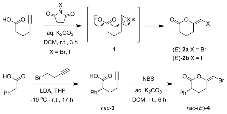 Scheme 1