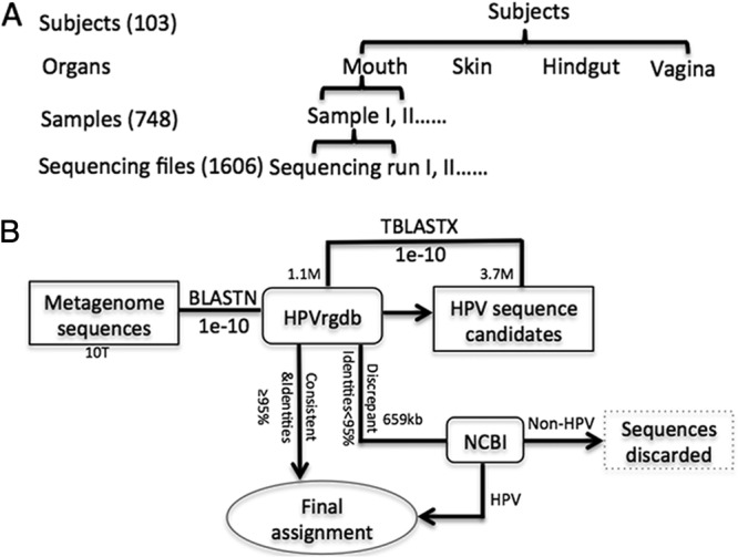 FIG 1