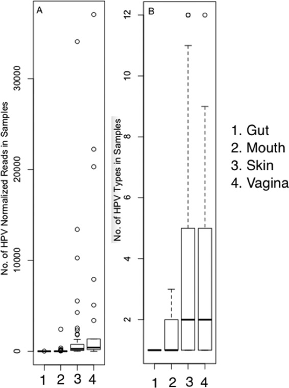 FIG 6