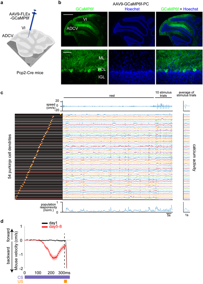 Extended Data Fig. 4.