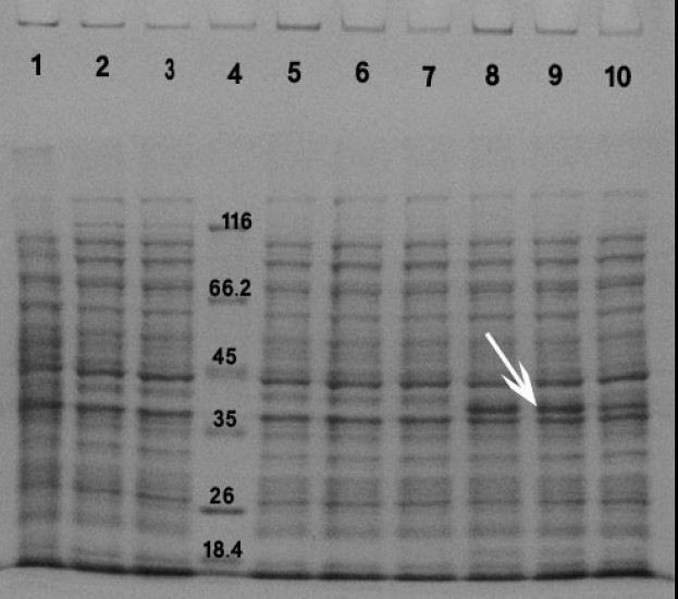 Fig. 3