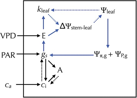 Fig. 10.