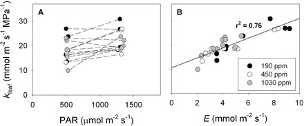 Fig. 9.