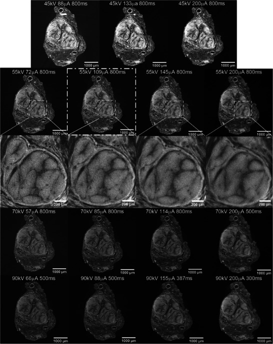 FIGURE 3