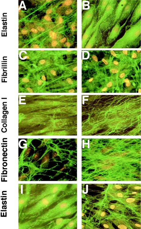 Figure  2