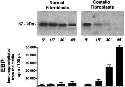 Figure  6