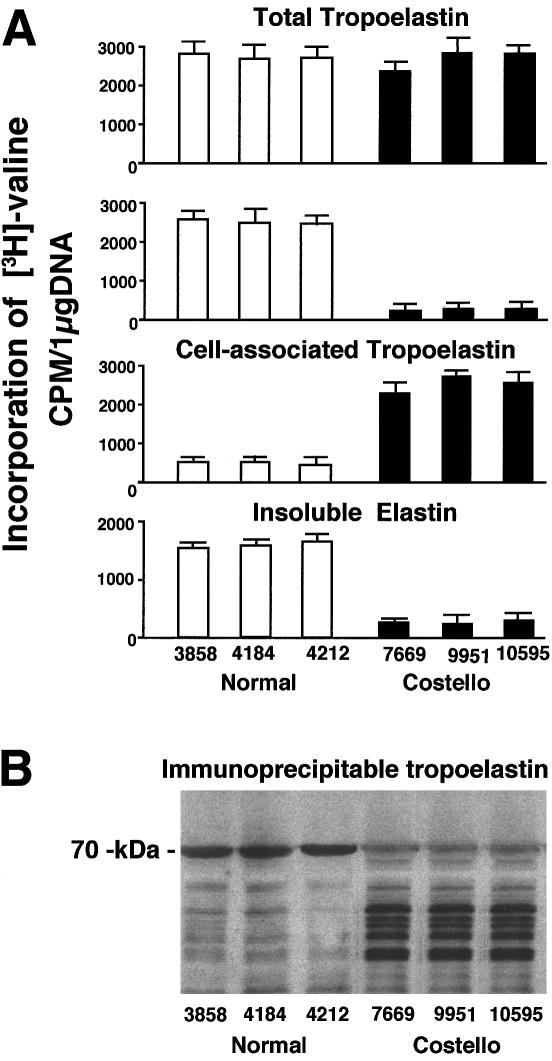 Figure  4