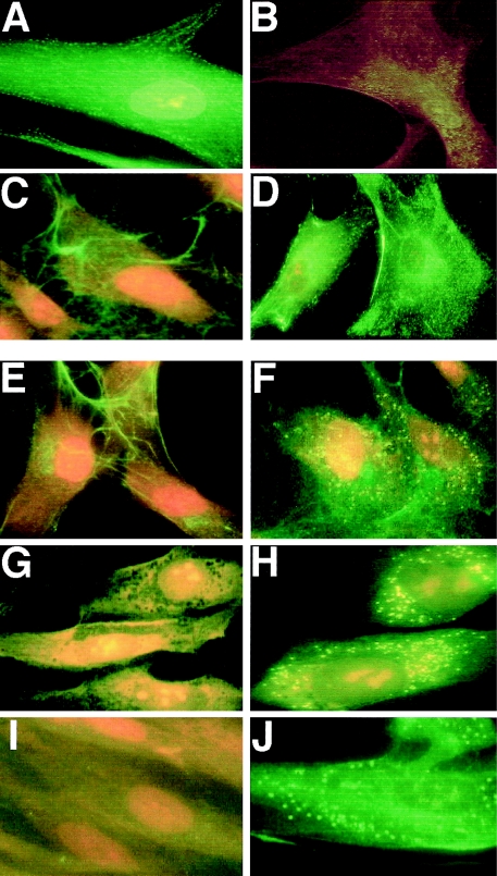 Figure  5