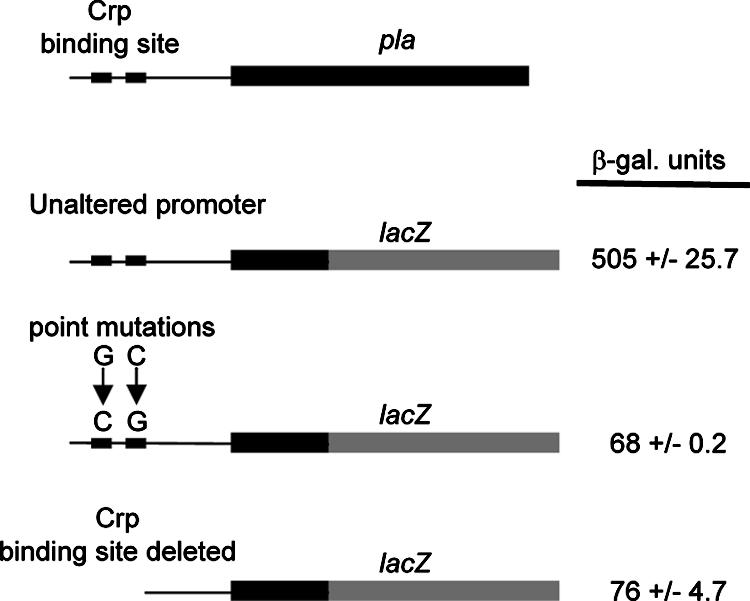 FIG. 10.