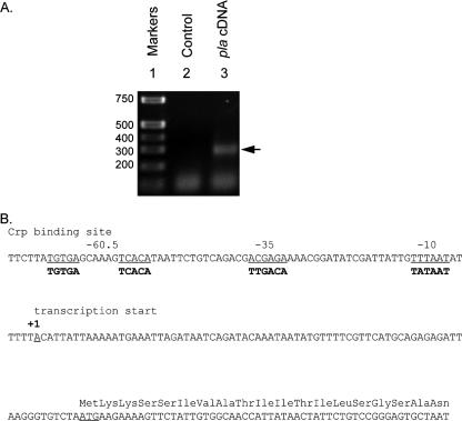 FIG. 7.