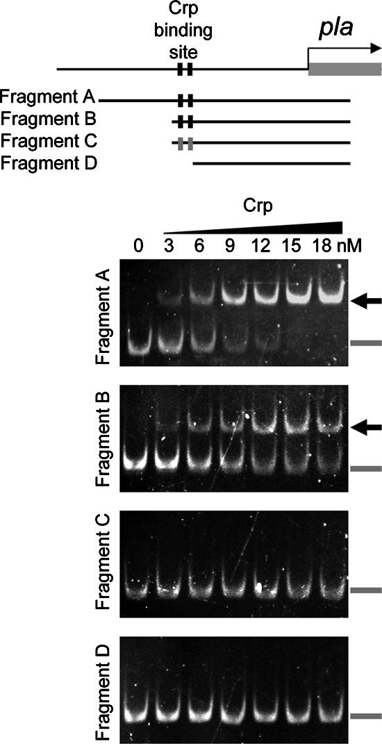 FIG. 8.