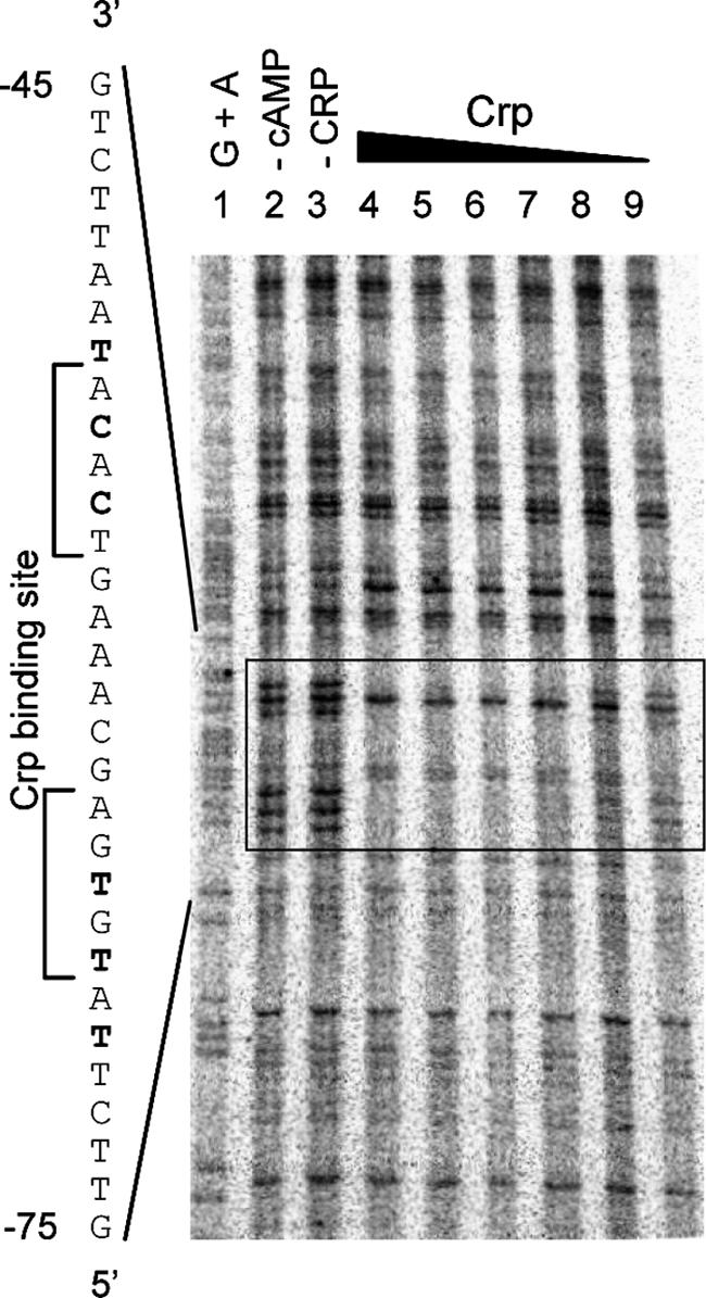 FIG. 9.