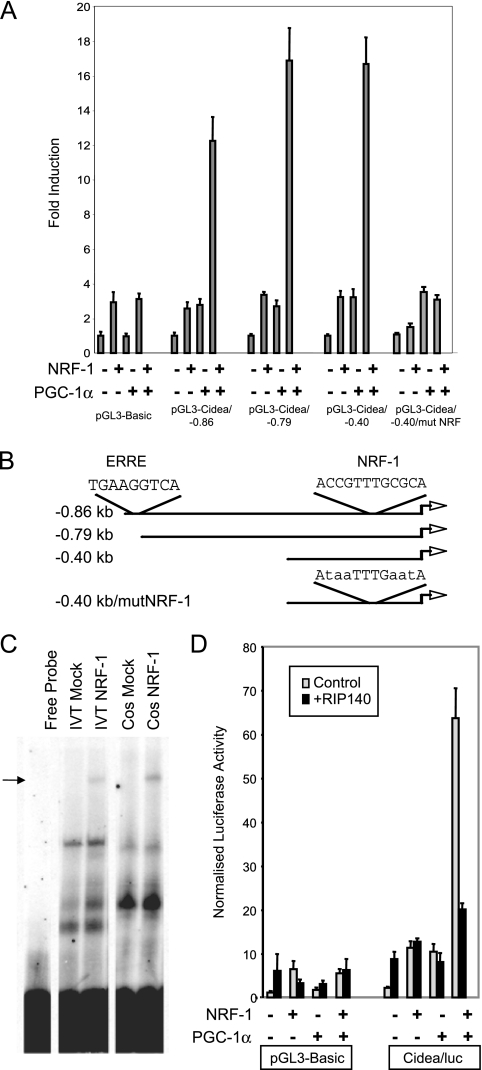 FIG. 4.