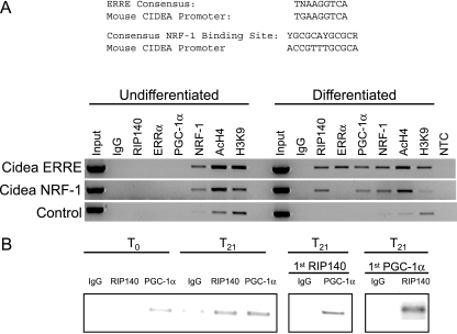 FIG. 7.