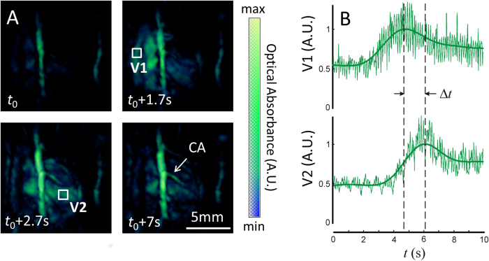 Figure 4