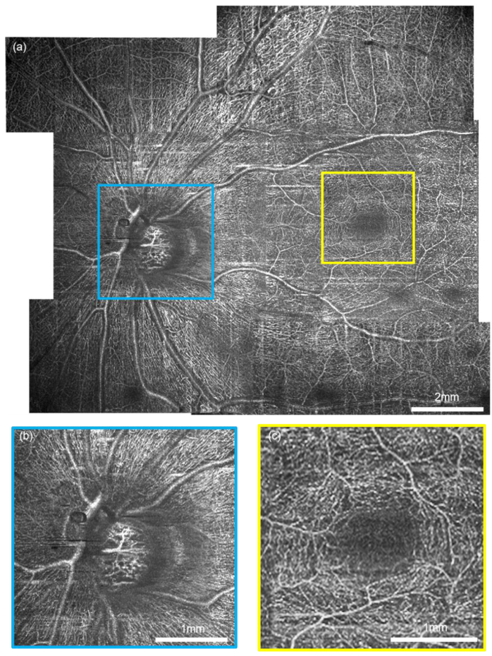 Fig. 6.