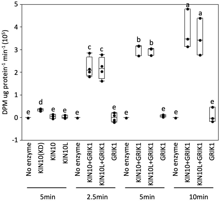 Figure 5