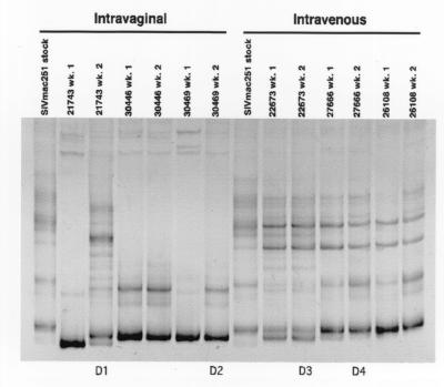 FIG. 8