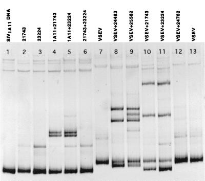 FIG. 6