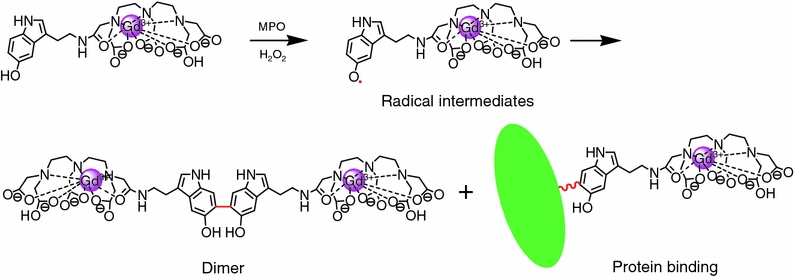 Figure 12