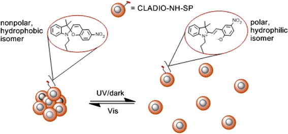 Figure 6