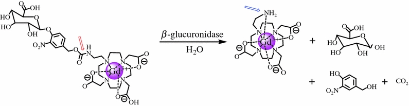 Figure 10