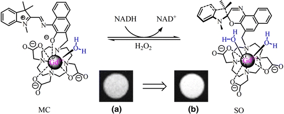 Figure 9