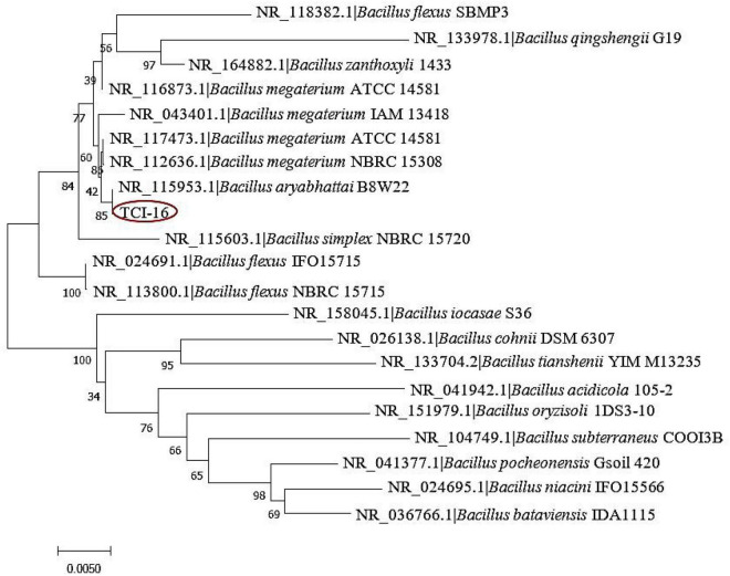 FIGURE 2