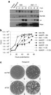 <b>Figure 2</b>