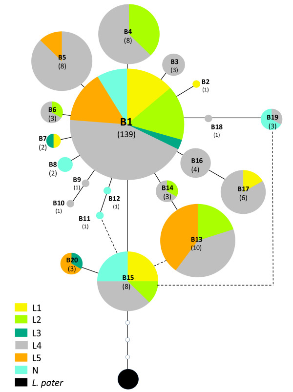 Figure 5